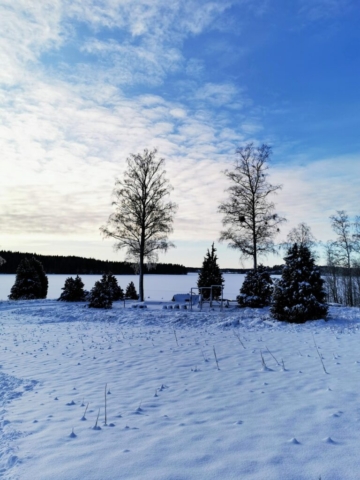 Vintervy ner mot utegymmet vid stranden